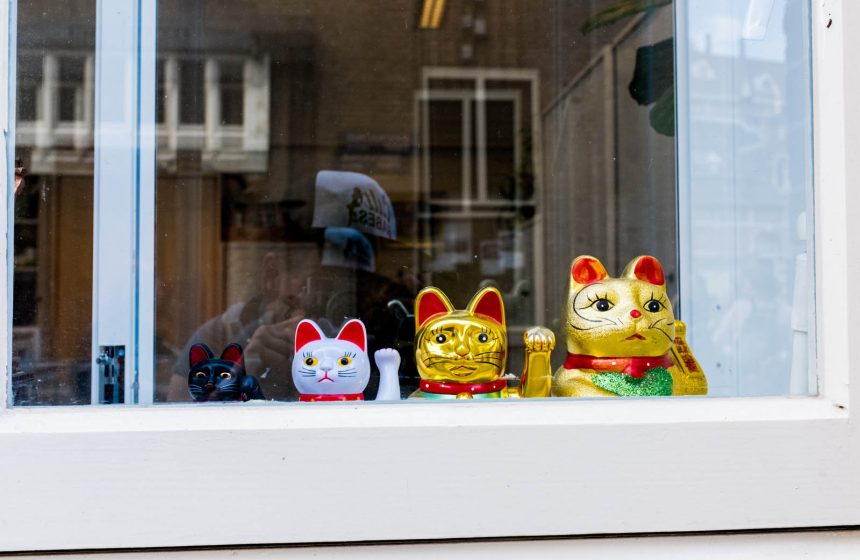 Cats in Amsterdam